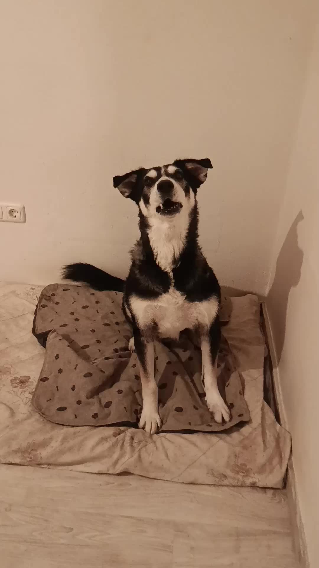 @Ride & Rescue