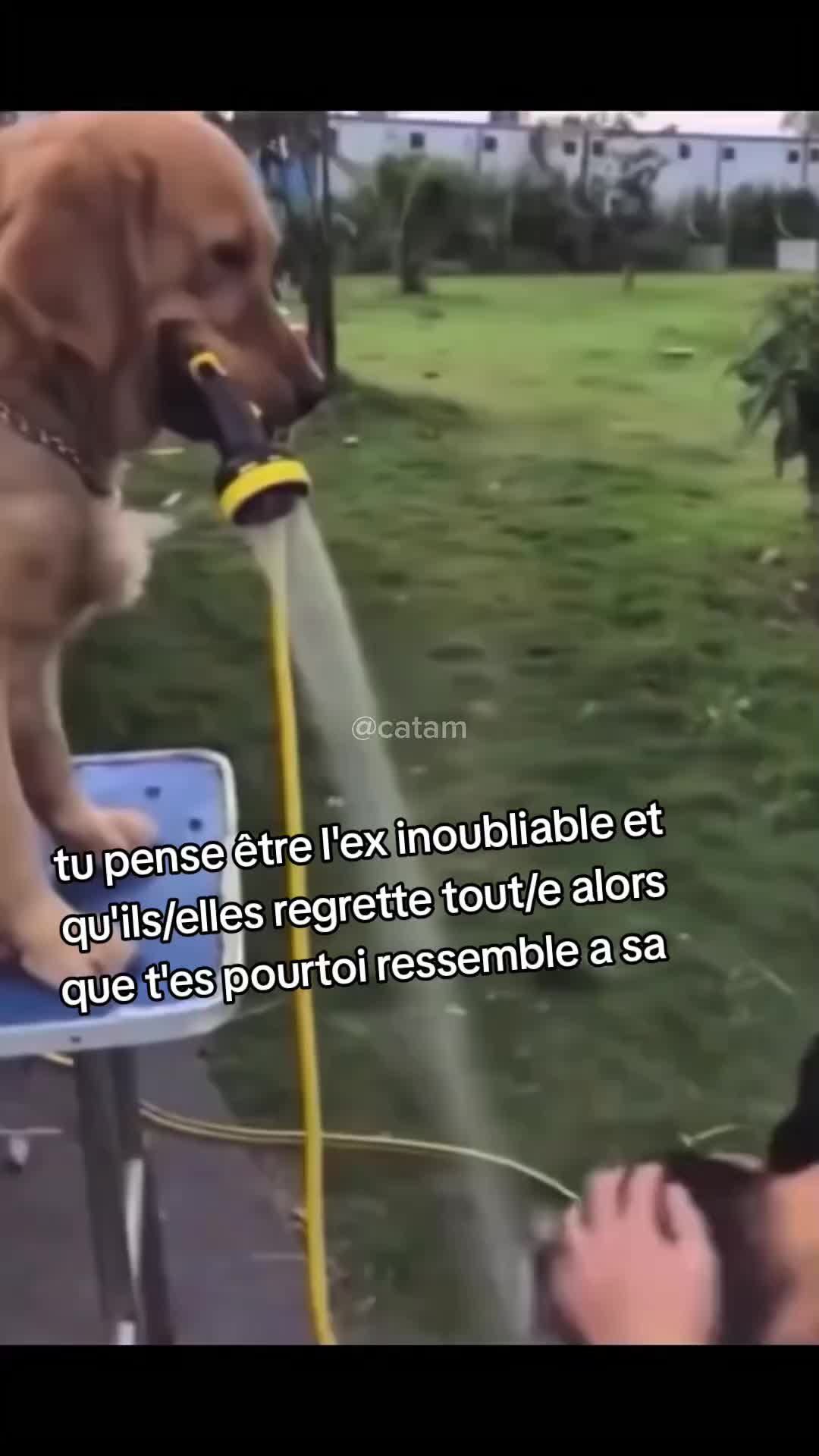 @seven
