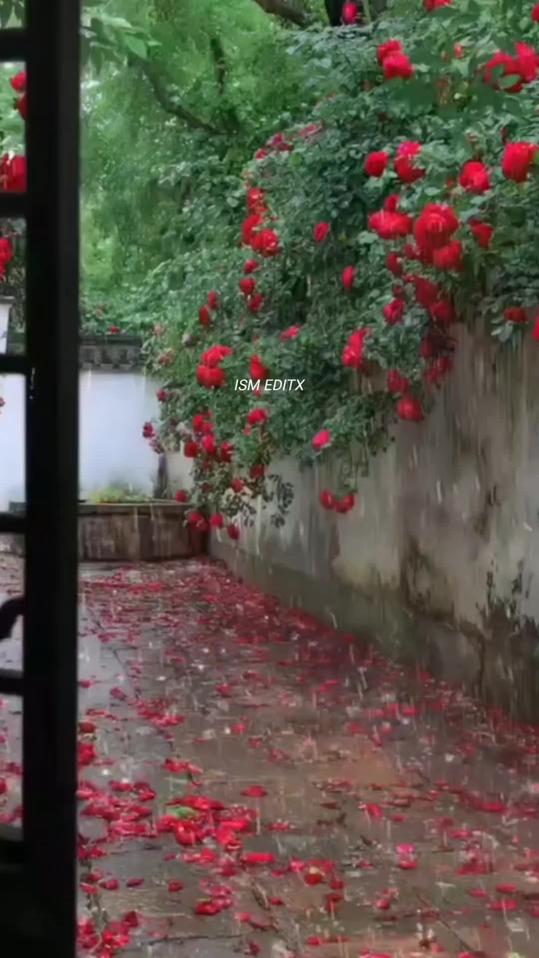 @اقراء❤️🔥