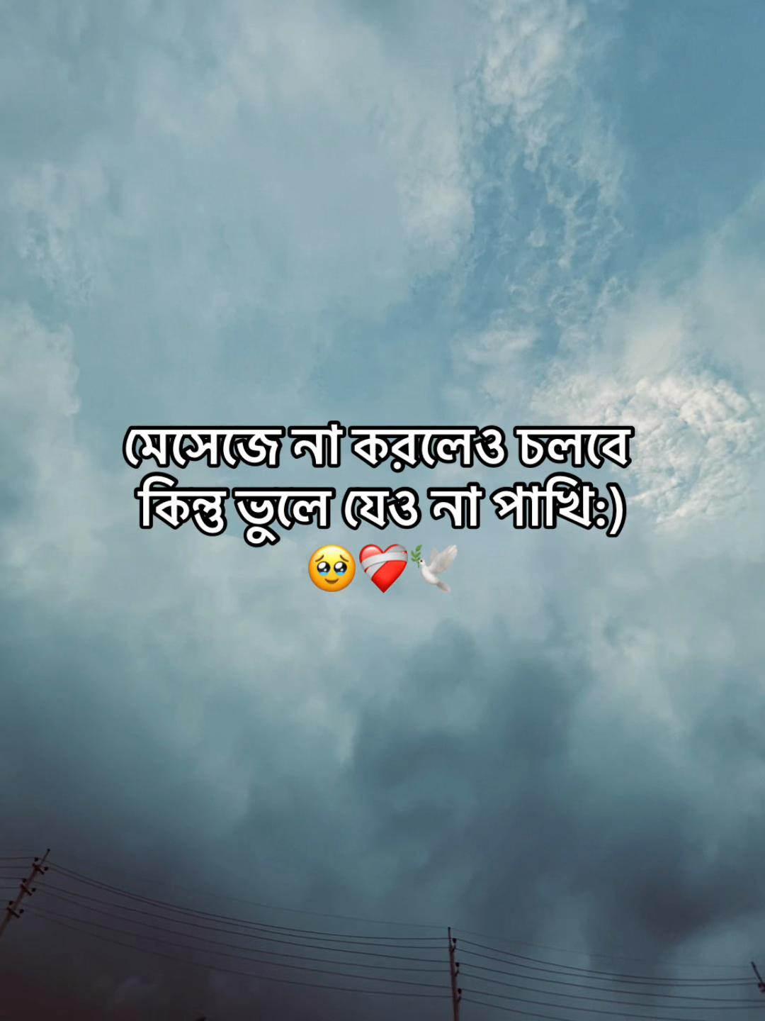 @ChaccHu 🤠🤍