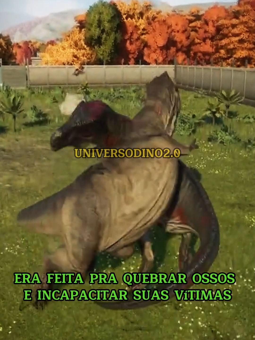 @UNIVERSODINO