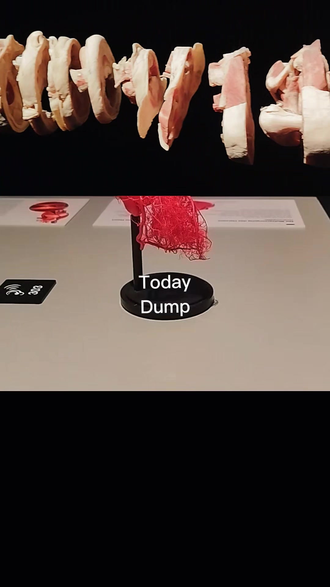 @🄴𝙈🅼︎𝗖ᑕℍ🅔︎🄽