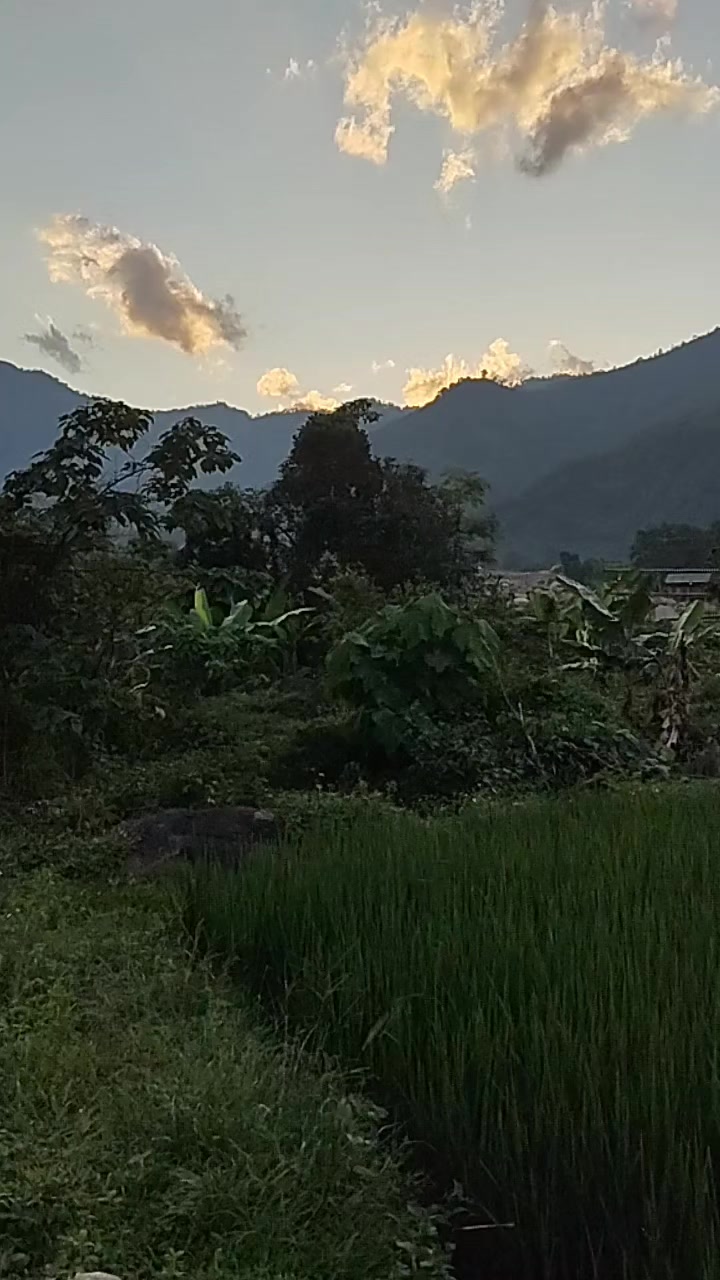 @XuânMai🫶