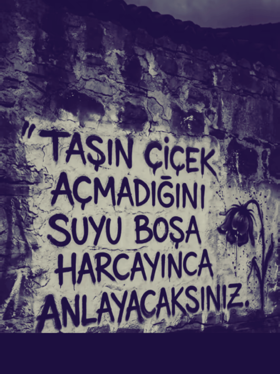 @🦁2̴1̴_i̴s̴a̴_6̴8̴🦁