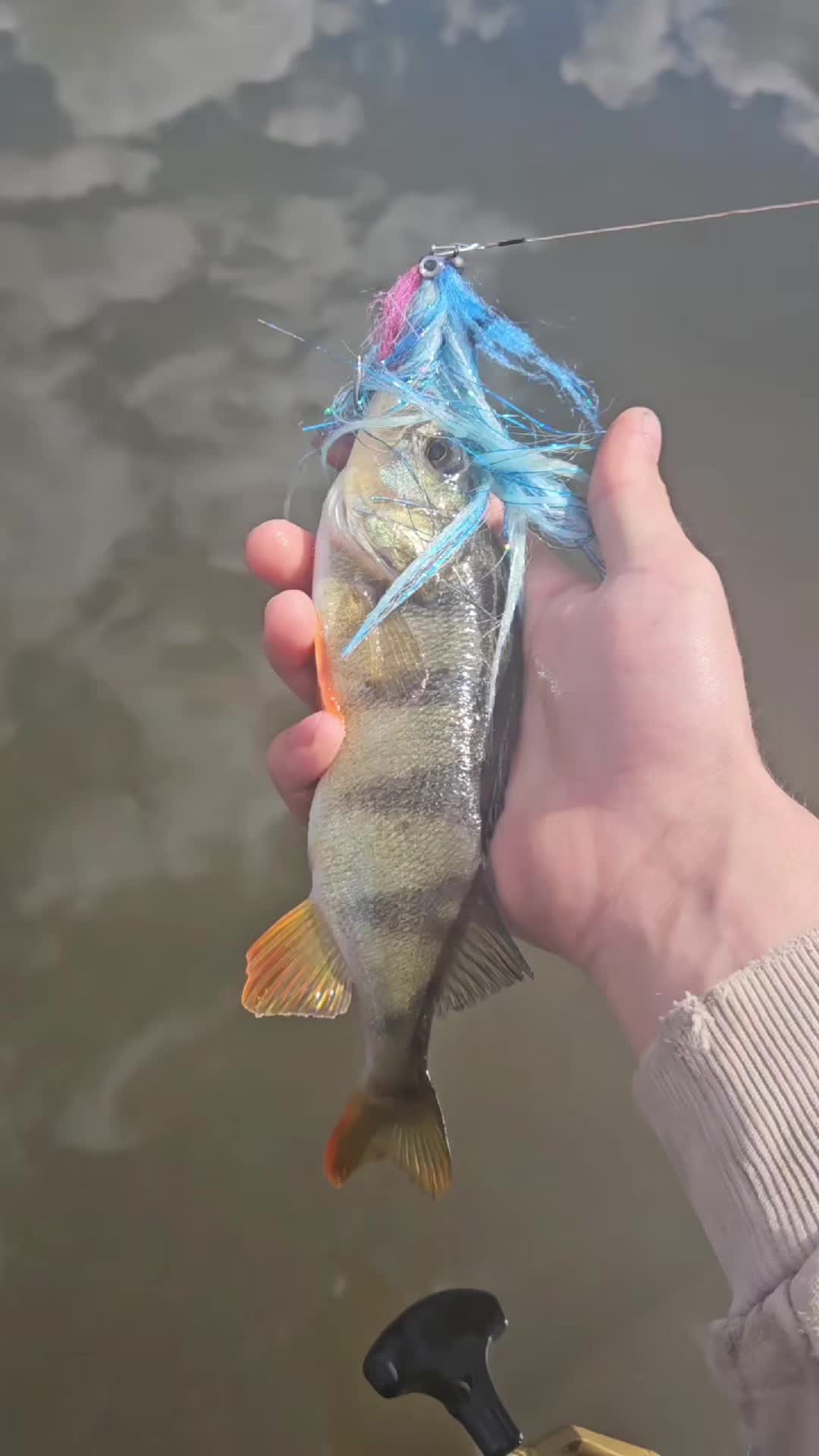 @mfly_lures
