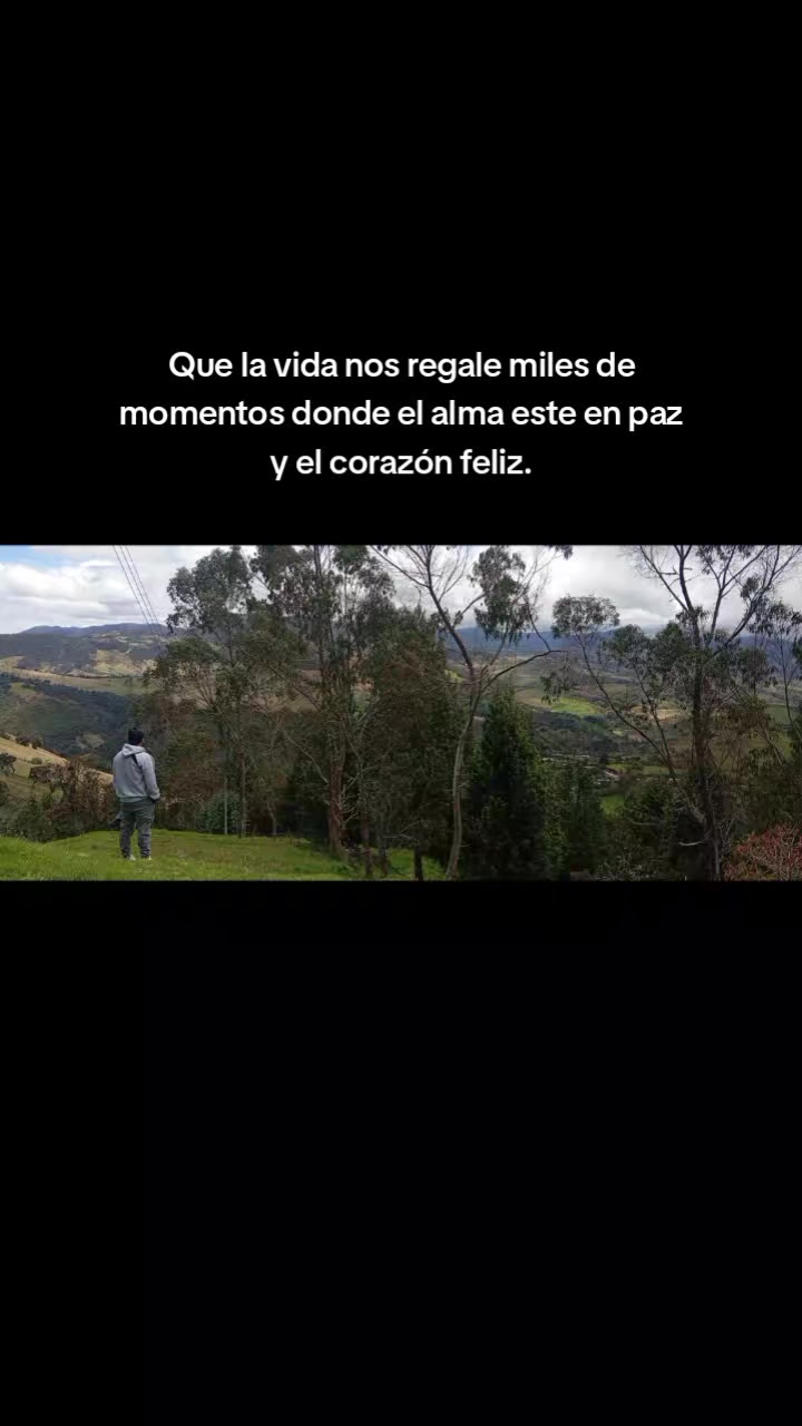 @Felipe c