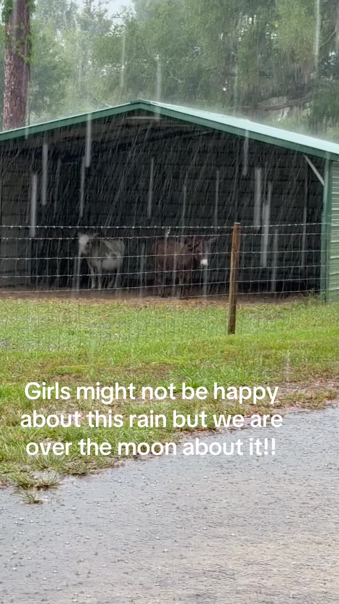 @Kelley Farms