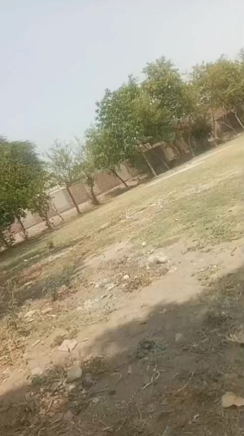 @bakhtawar.brand 🦁🦁
