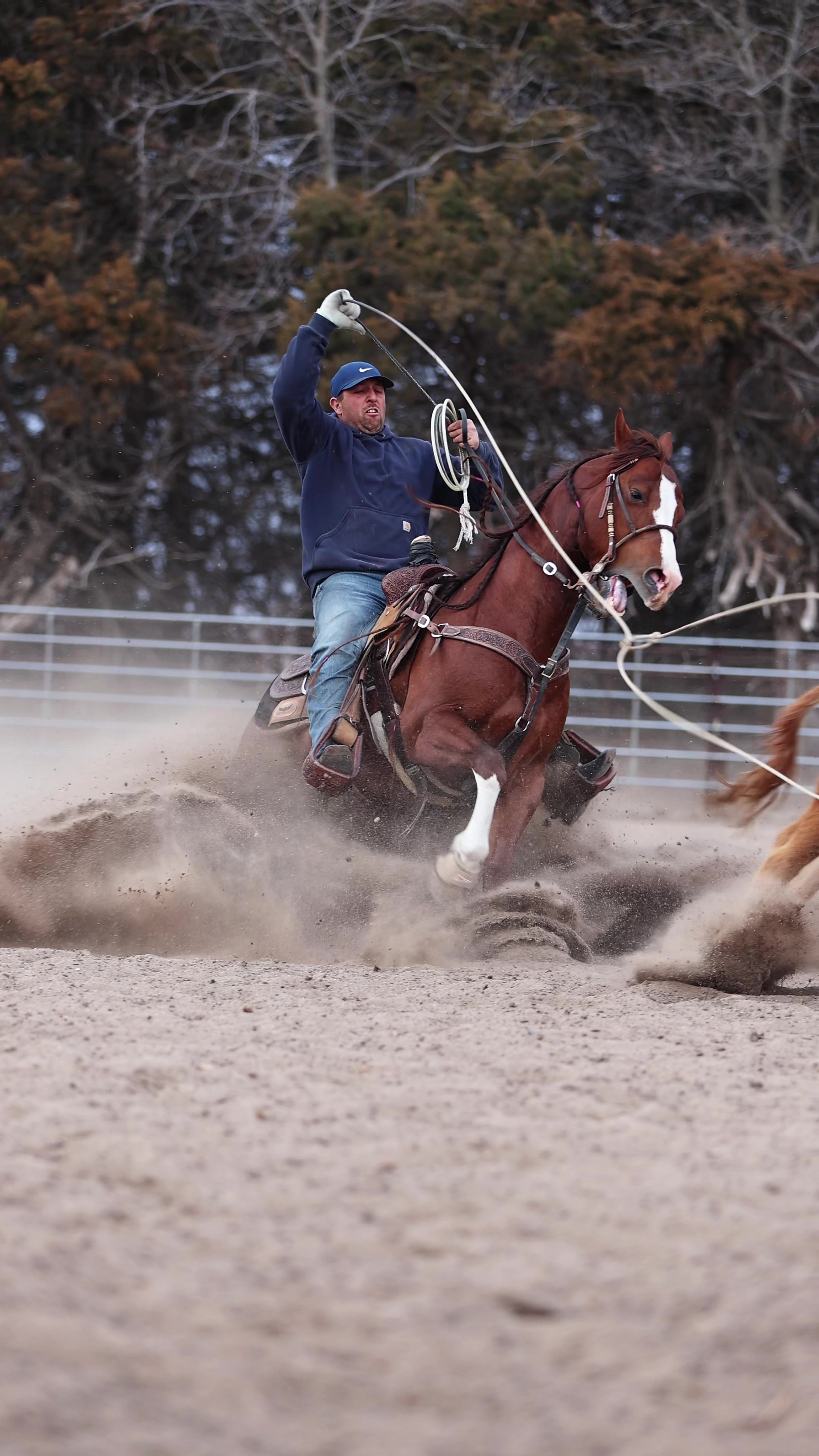 @Spickelmier Performance Horses