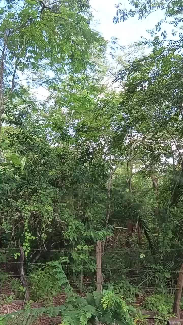 @MILBATALLAS😎