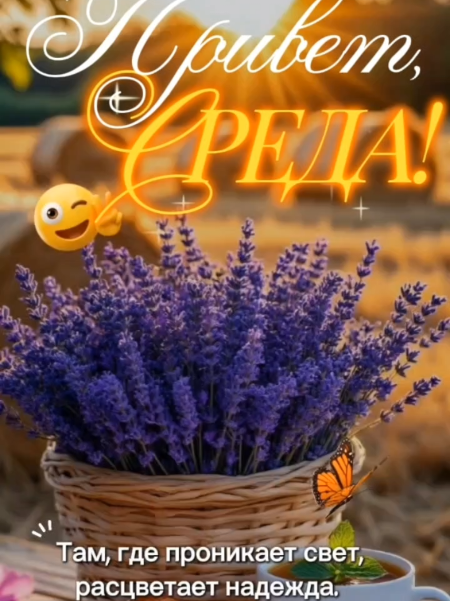 @Ольга