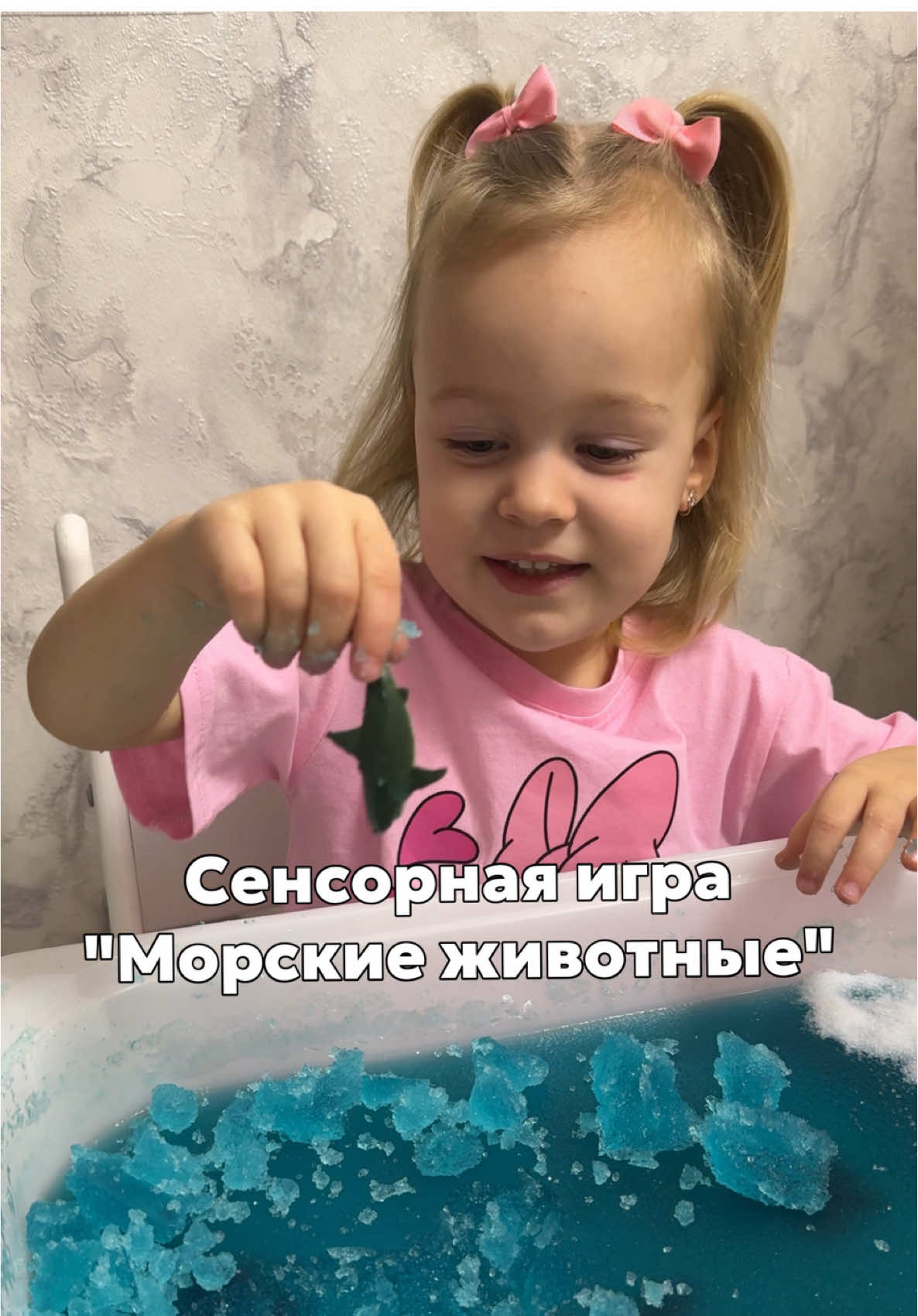 @uchilkaalex