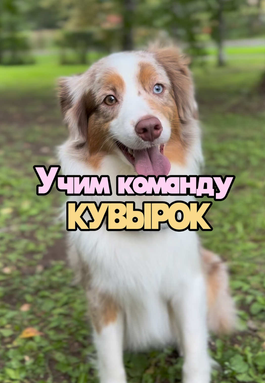 @𝚃𝚠𝚒𝚡