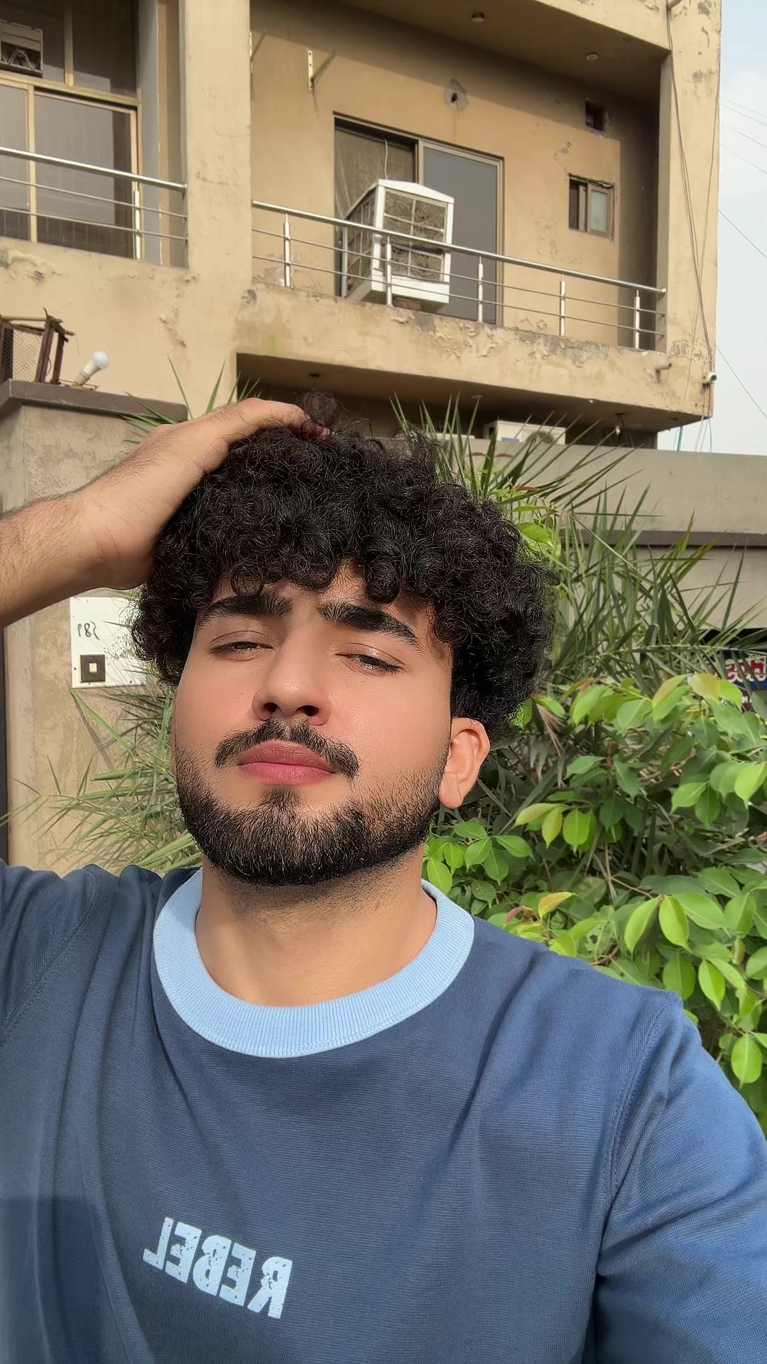 @Mr Curly._