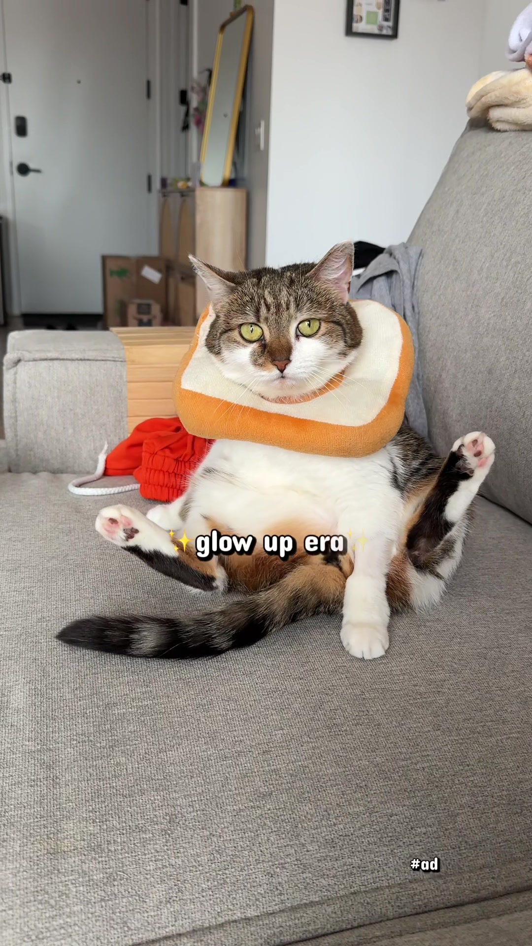 @Suki Purrs