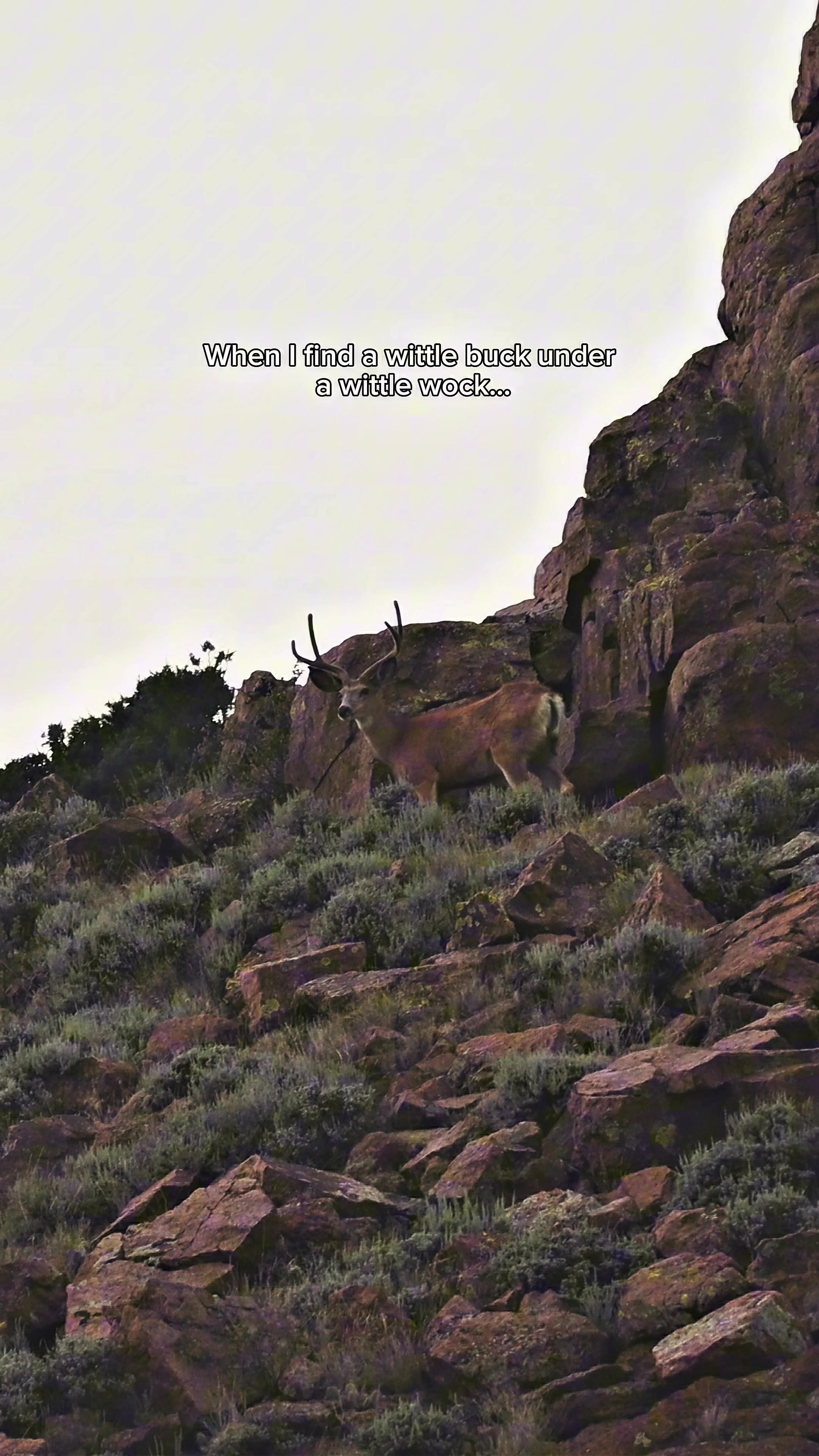 @Wild Born Outdoors - Saxton