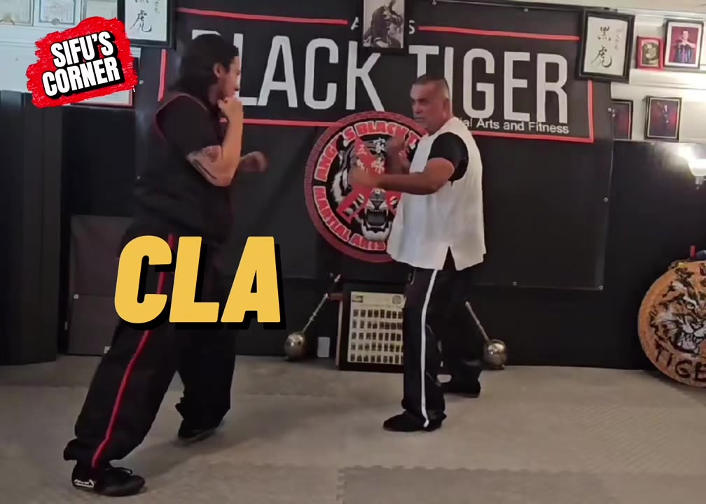 @angelsblacktiger