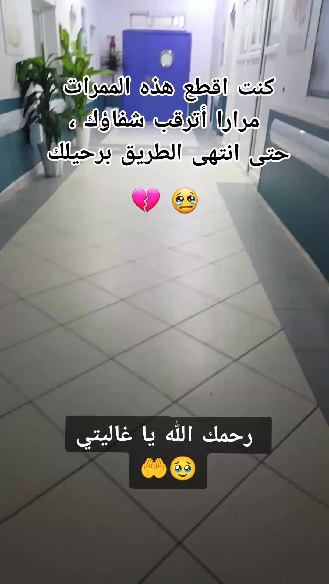 @Ahmed 007 🇩🇿🇩🇿