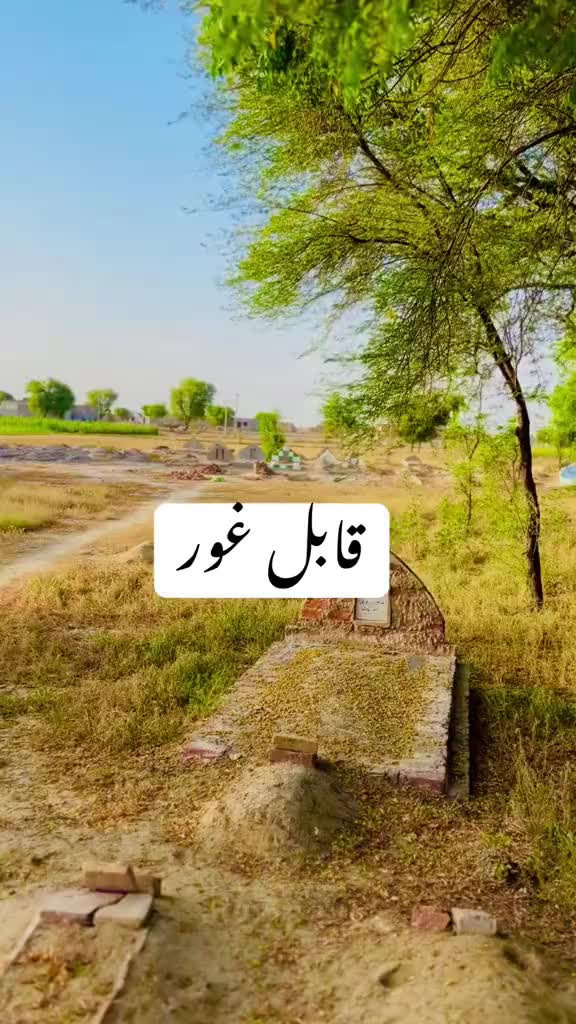 @Ali Faisal Jutt