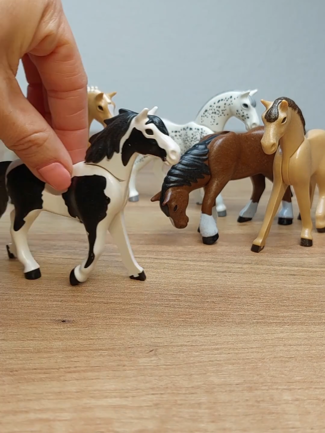 @Playmobil Family