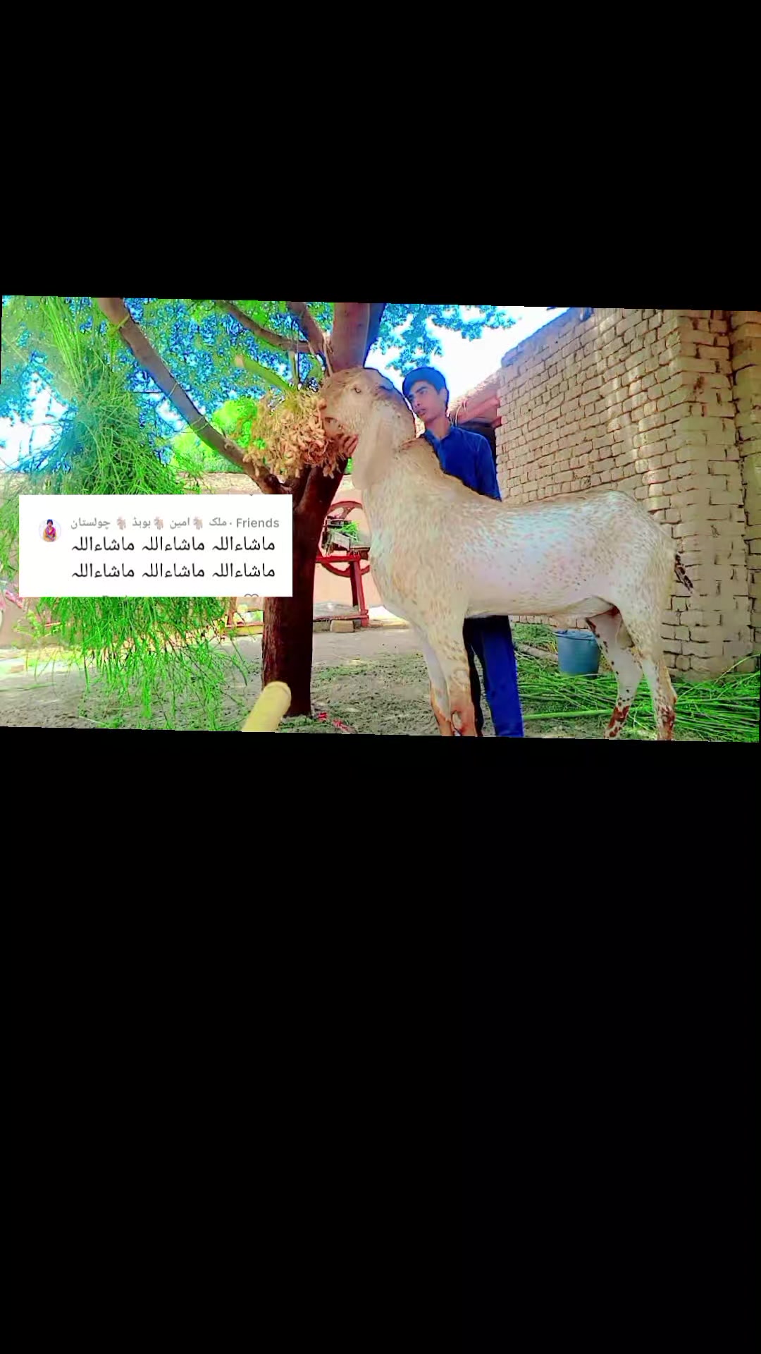 @Malik Rashid