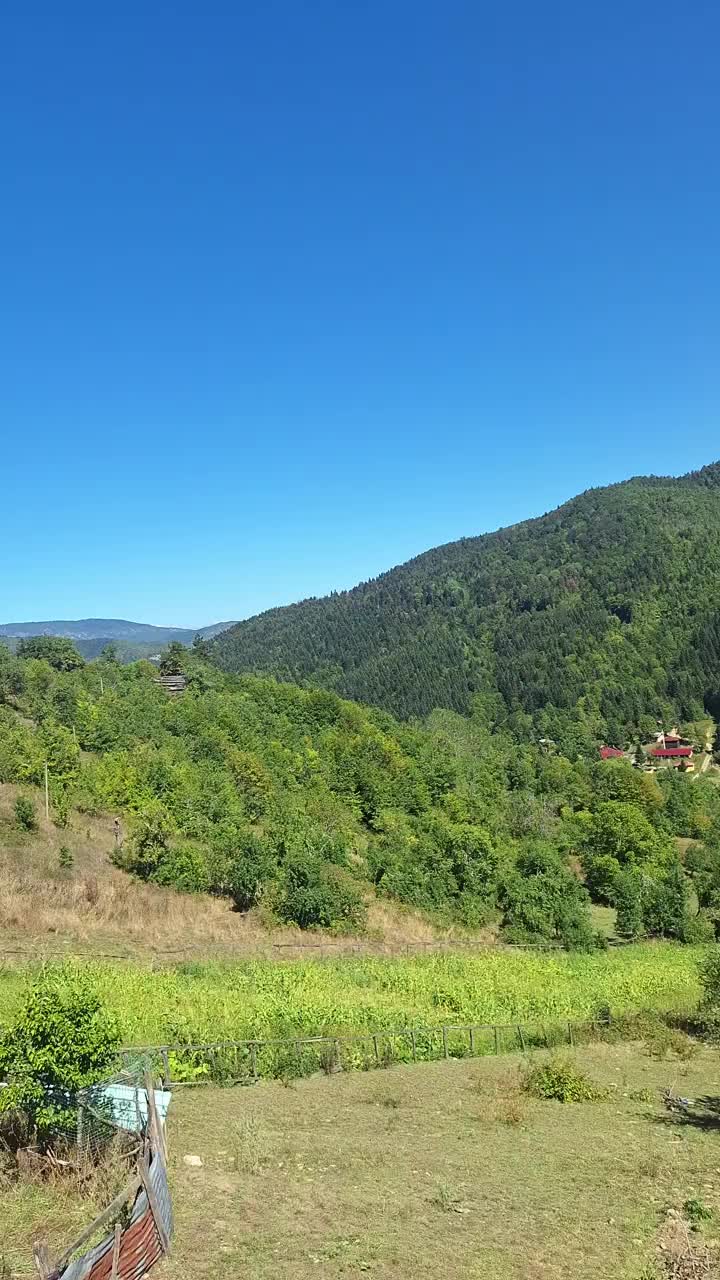 @Havva K&ouml;m&uuml;r