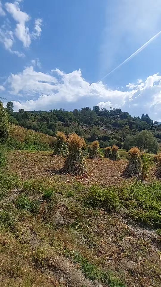 @Fshati_fshat😍