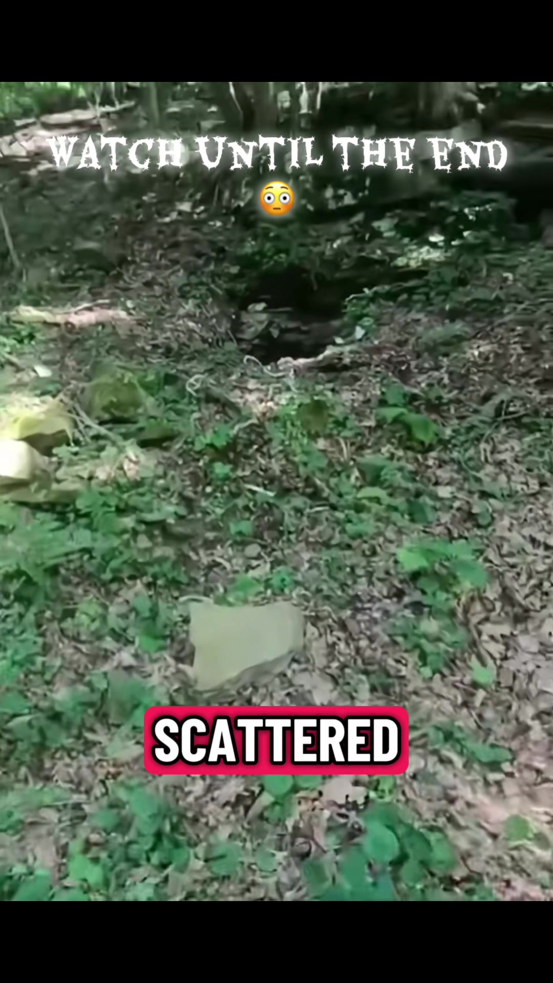@Creepychronicles