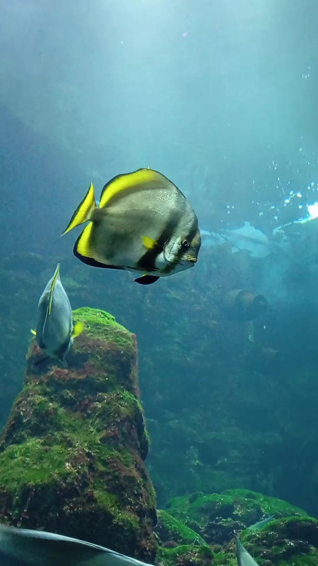 @🌍Tetiana 🌍
