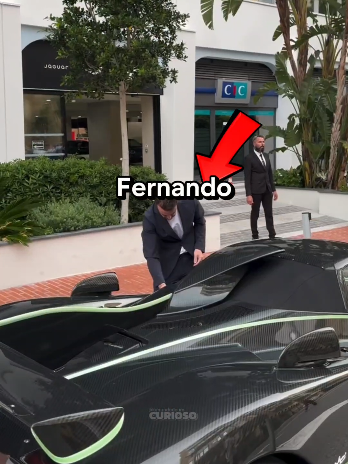 @omundodeumcurioso