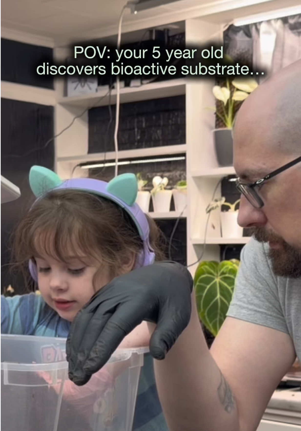 @Spider Conservatory