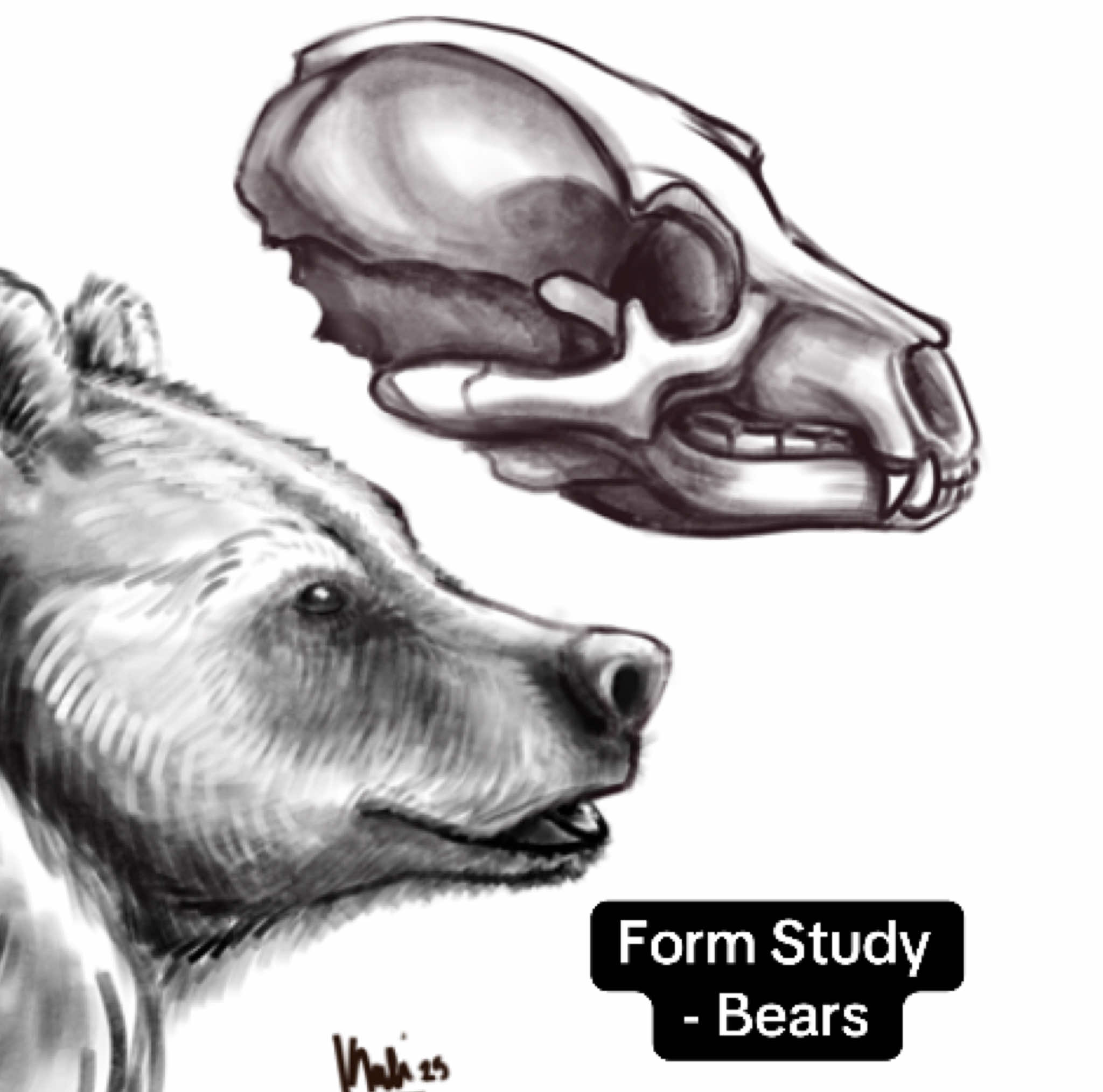 @Kalilak11