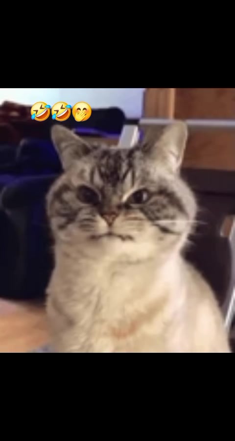 @๐S๐ฅฐ