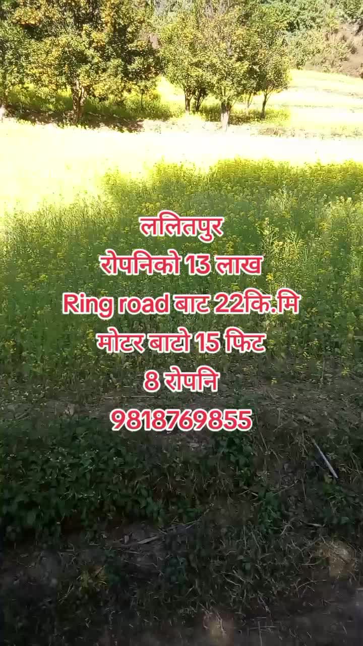 @cheapland7