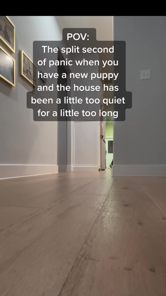 @Calliope & Athena Bleu