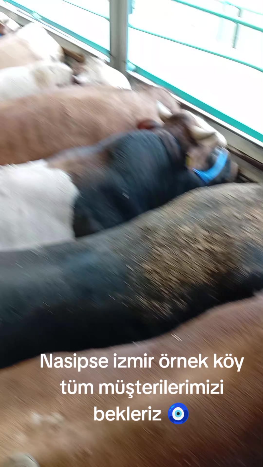 @Emre Gülmez