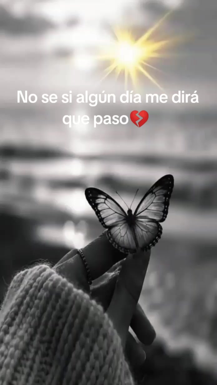 @❤️yeya❤️