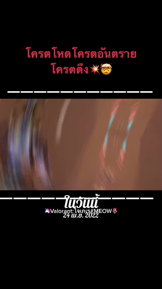 @รักแมวมากมากมาก