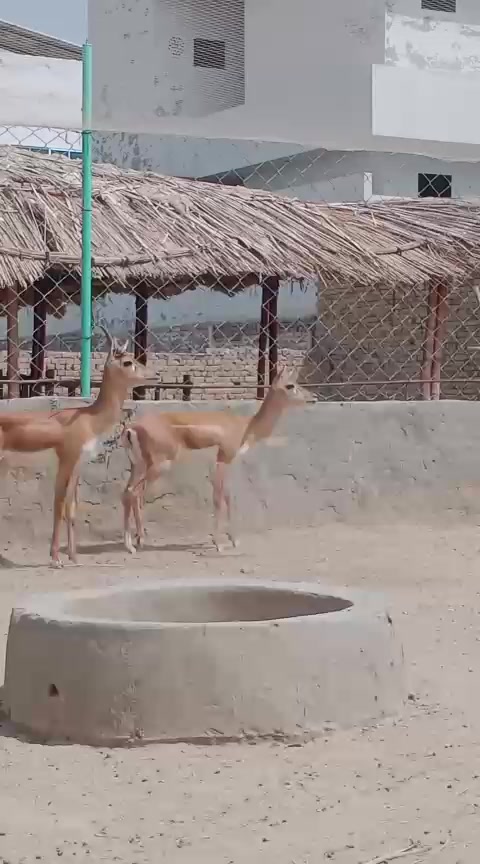 @AD
