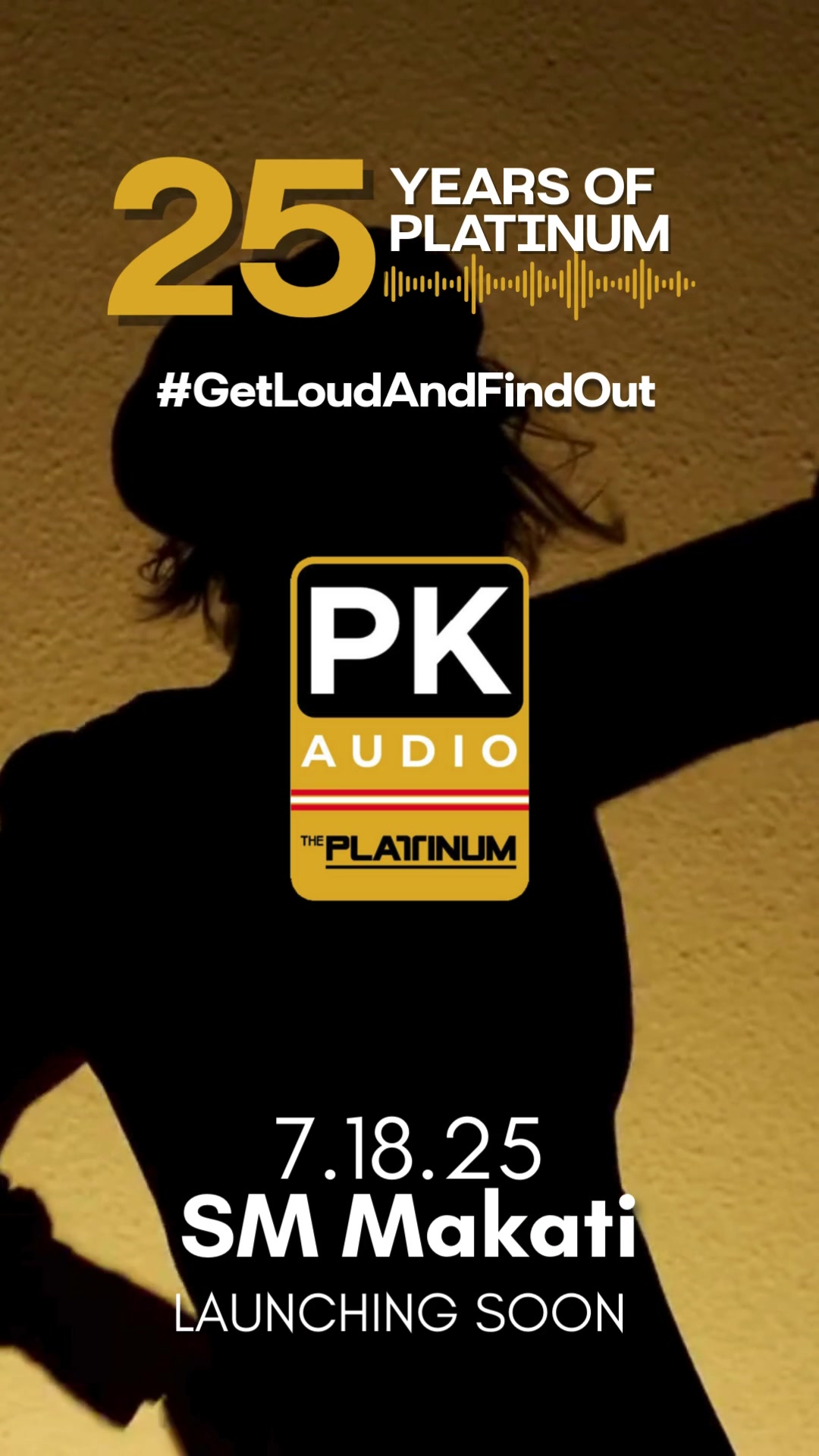 @Platinum Karaoke