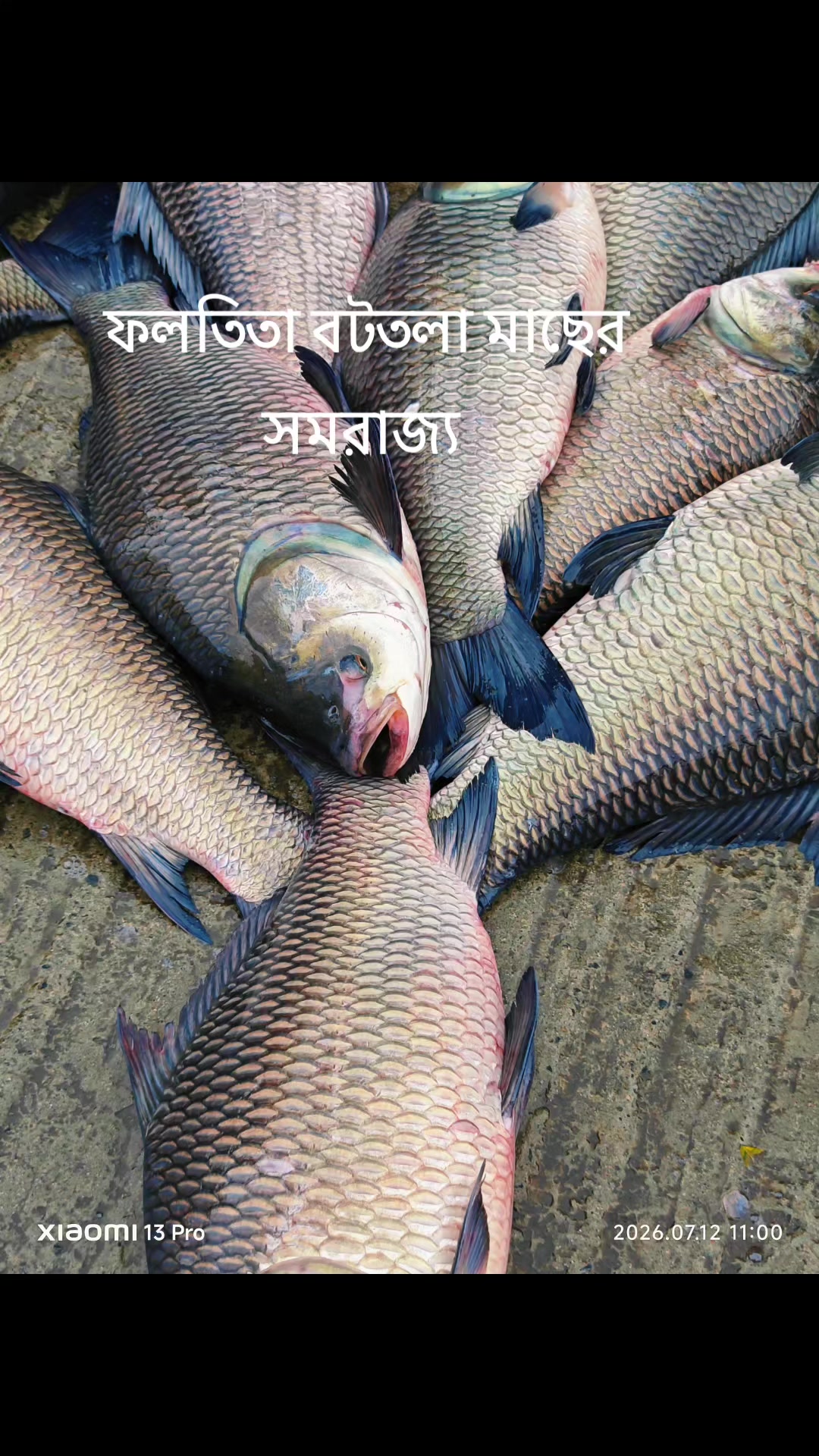 @Md Shoaib Sheikh