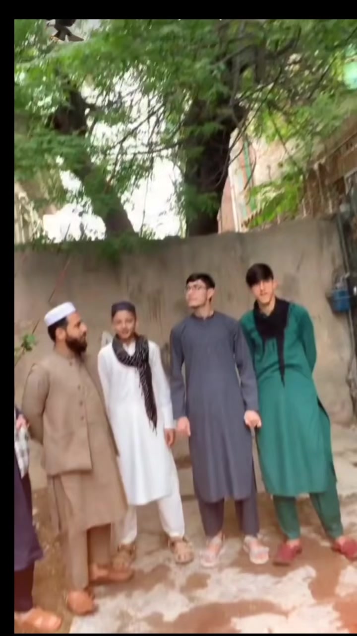 @zakir🐊🎭🦅