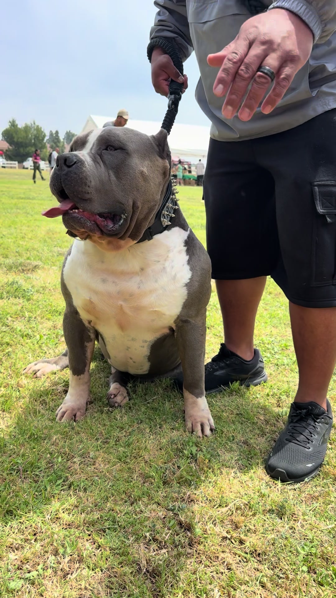 @Honorbound_Bullys