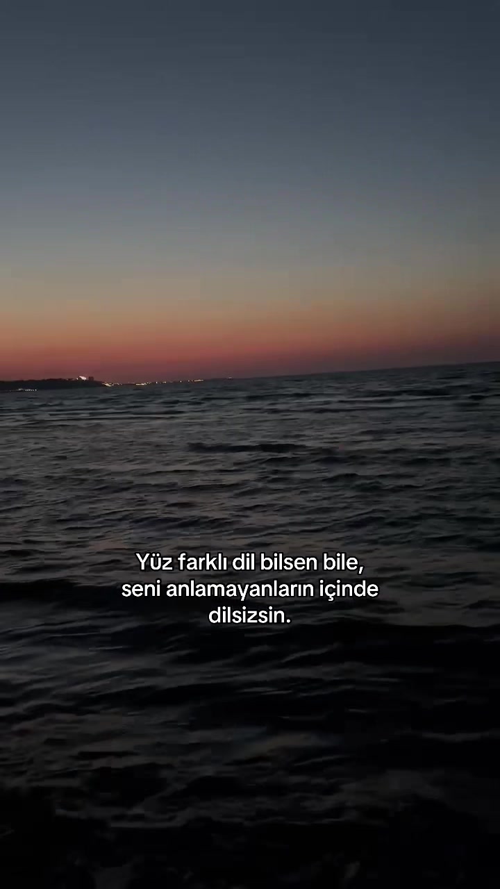 @user311466212