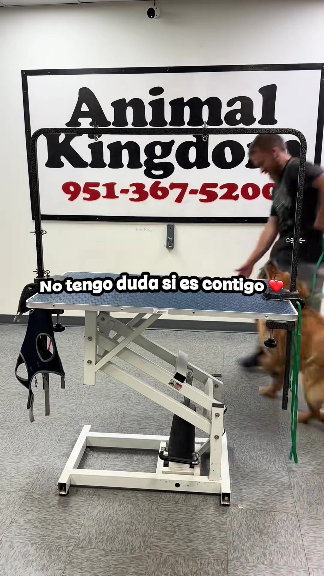@Andy 🇲🇽