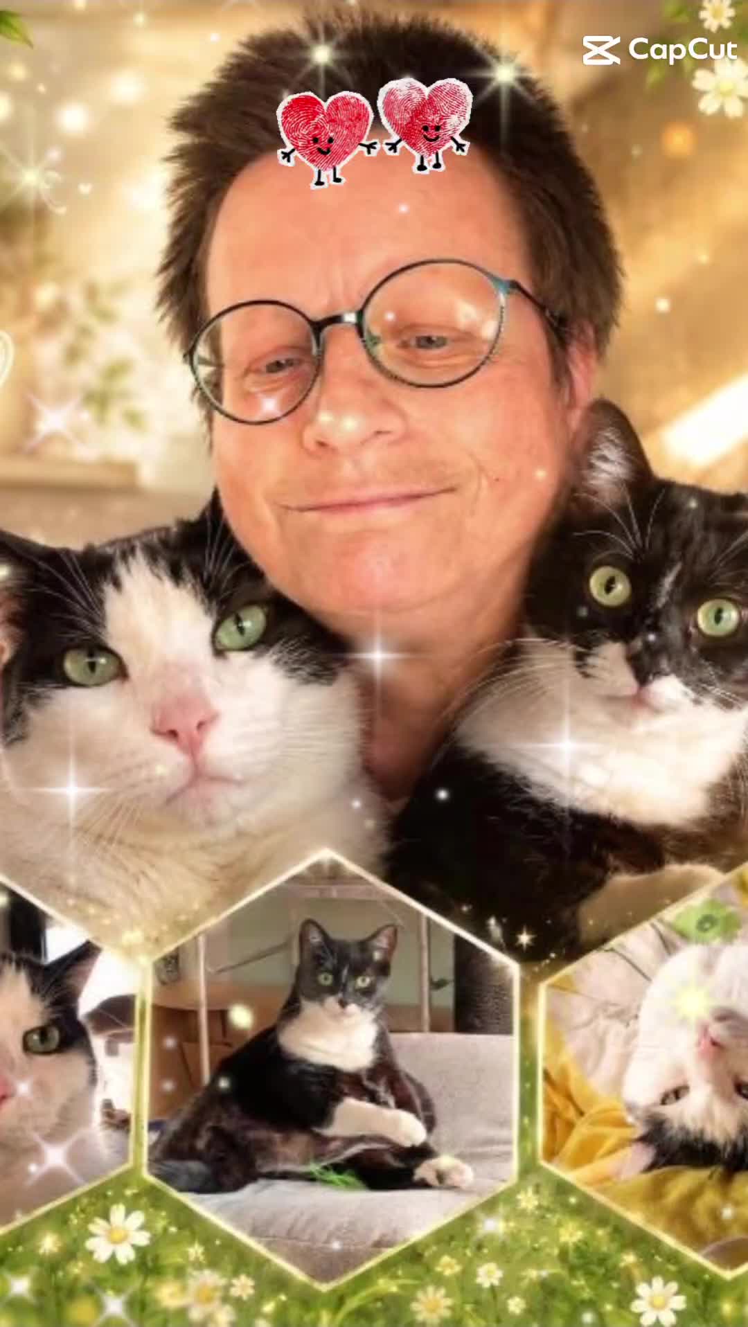 @Melanie Burg katzenstein😻😺😽