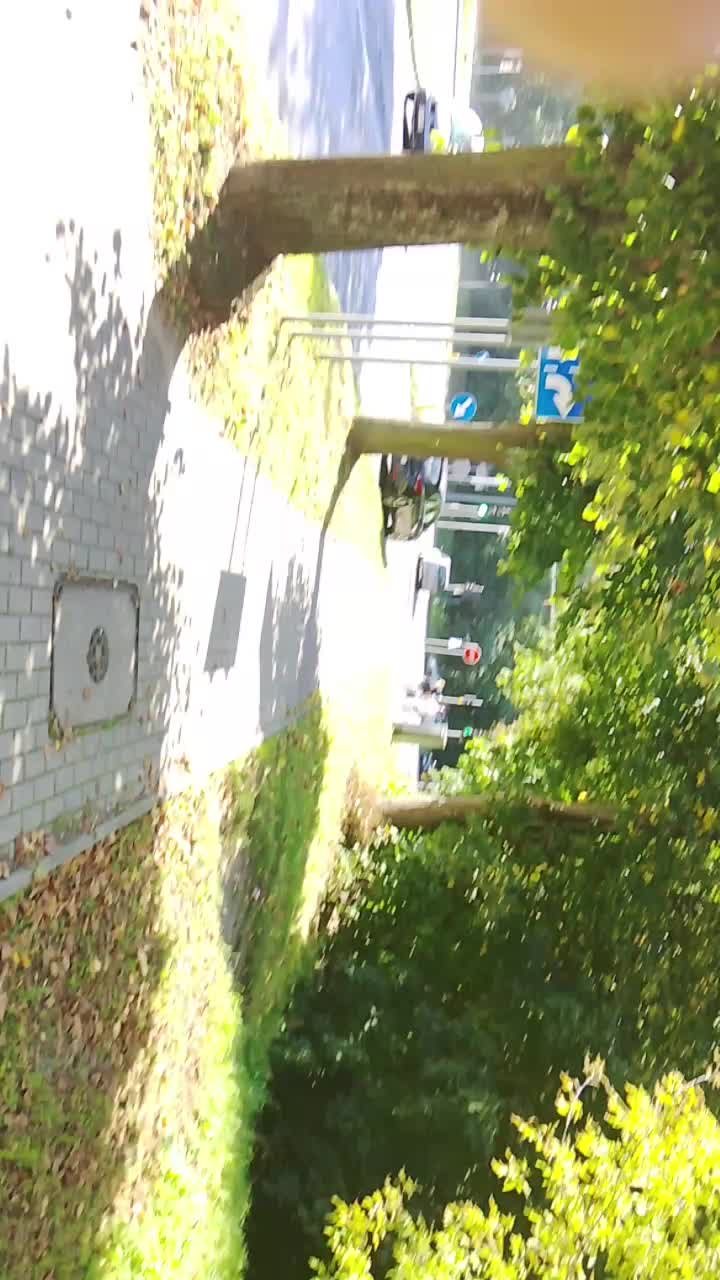 @saxo🇮🇩🇹🇷🇦🇿