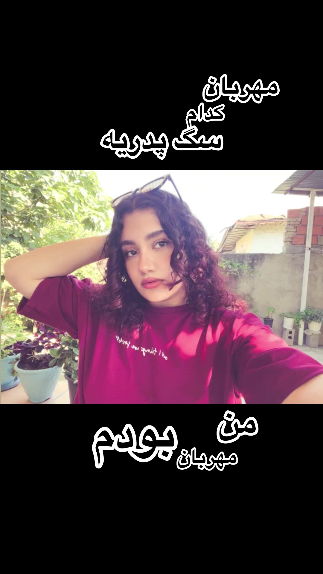 @dorsa