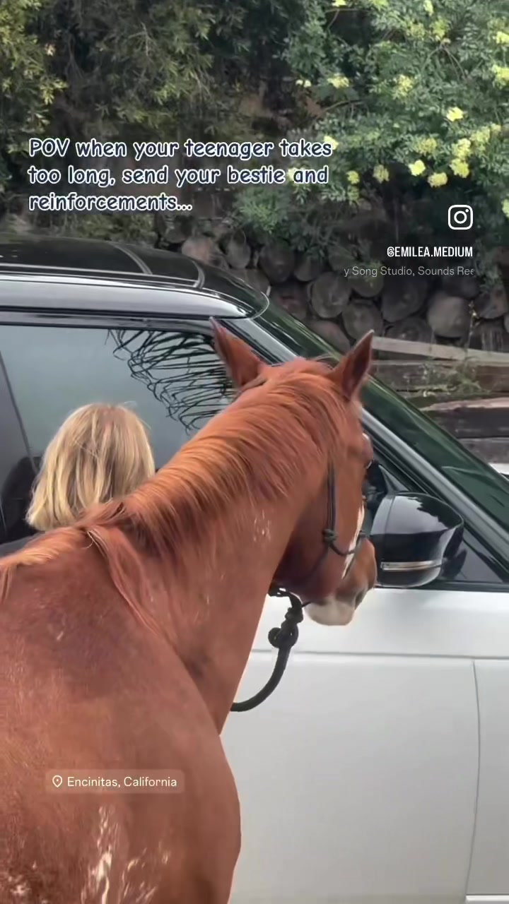 @emilea.medium