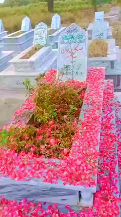 @AJ KHAN